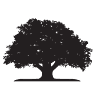 White Oak Dental