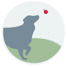 Whitestone Animal Hospital