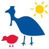 Whitfield Community Kindergarten