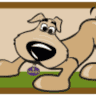 Wholesome Animal Grocery Store (WAGS)