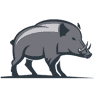 Wild Boar Bathrooms