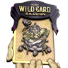 The Wild Card Saloon
