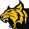Wildcat Construction