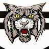 Wildcat Storage