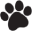 Wildcat Veterinary Clinic