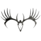 Wild Edge Inc