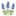 Wildflower Dental & Orthodontics