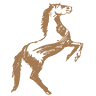 Wild Horse Adventure Tours
