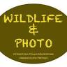 Wildlife & Photo