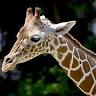 Wildlife World Zoo, Aquarium & Safari Park