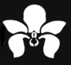 Wild Orchid Salon - Bee Cave