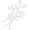 Wild Thyme Gourmet