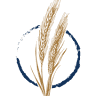 Wild Yeast Bakery