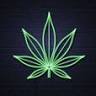 Wilkes-Barre Cannabis Dispensary