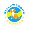 Willowbrook Puppies