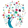 Willow Health