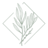 Willow Massage & Wellness