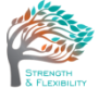 Willow Physical Therapy