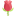 McDiarmid Flowers