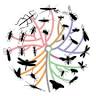 Insect Research Collection