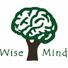 Wise Mind PLLC