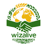 Візовий центр Wizalive