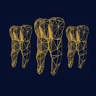 Schwartz William M DDS