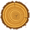 Wood - Vëllezërit Kola
