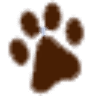 Woodinville Animal Hospital
