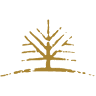 Woodlife Farm Market