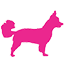 Woof Gang Bakery & Grooming Stonebriar