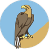 Bison Area