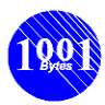 1001 BYTES