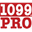 1099 Pro, Inc.