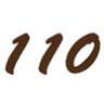 110 Grill Poughkeepsie