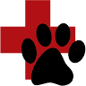 43rd Avenue Animal Hospital