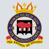 452 Hornchurch Squadron
