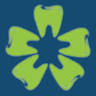 5 Corner Dental