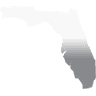 St Petersburg Criminal Defense Attorney
