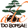 School Abc Bonsai