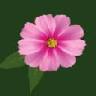 All Broward Home Health Services
