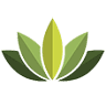 Absolute Massage and Wellness