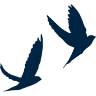Accentor Associates