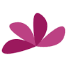 Accyflor Los Cabos