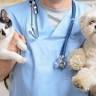 A Central North Animal Hospital