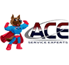 ACE Service Experts