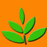 Acharya Virtual Solutions