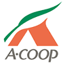A Coop Kakuto