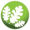 Acorn Financial Services