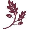 Acorn and Oak Apothecary